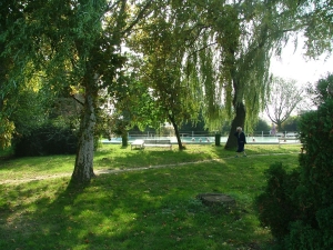 030251p2.jpg