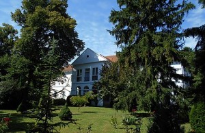 040523_kulso.jpg