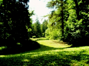 050659_arboretum2.jpg