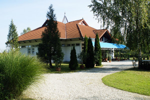 301685_foepulet.jpg