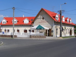 303038_vadrozsa.jpg