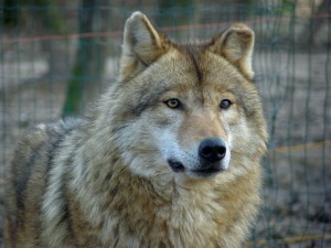 304950_bkeszi_vpark_05.jpg