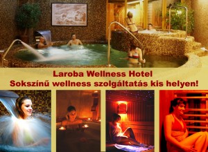 306632_laroba_wellness.jpg