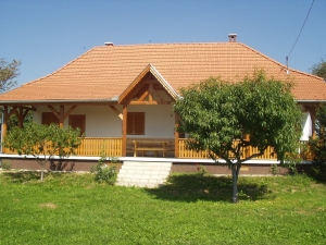 309008i1.jpg