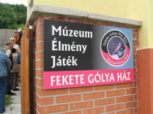 310732_2.jpg
