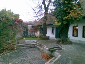 310752_3.jpg