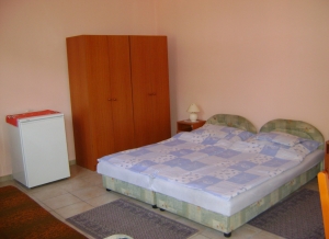 313044p2.jpg