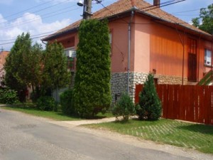 313135_adrienn3.jpg