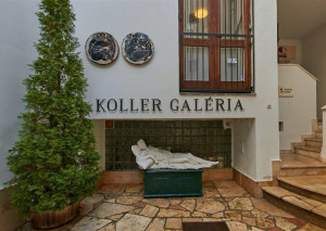 313834_galeria.jpg