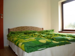 314106p4.jpg