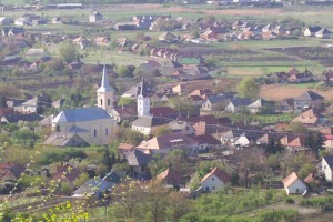 314799_1.jpg